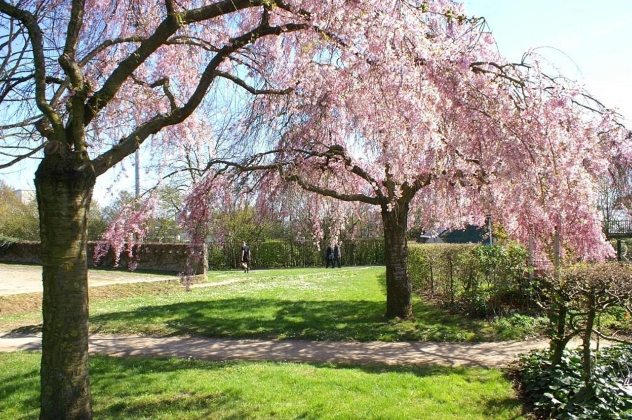 Maison De Longde-Appartement Avec 2 Chambres Villejuif Exteriör bild